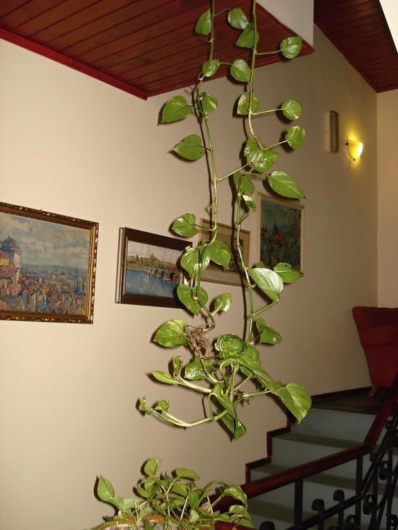 Hotel Hormeda Praha Eksteriør bilde